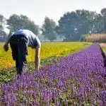 zon-arbeidsvoorziening-medewerkers