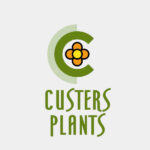 Custers Plants